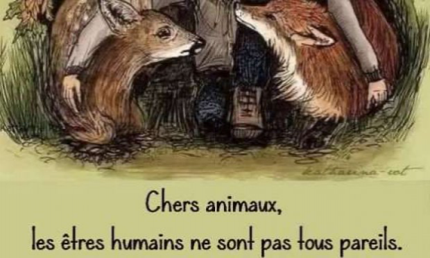 Petition : Pour l'abolition de la chasse à courre