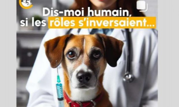Petition : Stop à l'expérience animale pour la recherche scientifique !