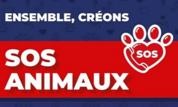 Petition : Pour la création d'un numéro d'urgence unique en France contre la maltraitance animale