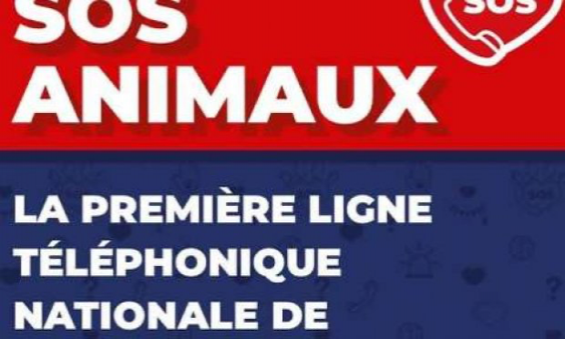Petition : En marche vers une évolution radicale des droits des animaux en France