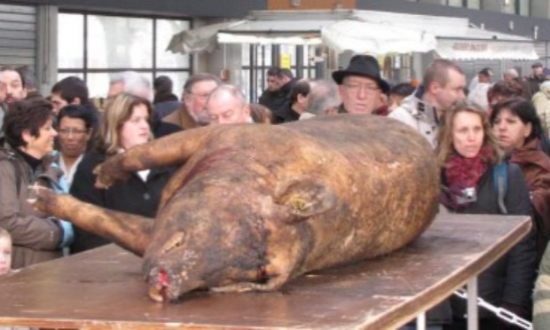 Petition : STOP à l'atroce 