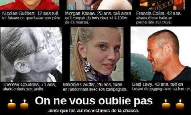 Petition : Demandons l'arrêt de toutes les chasses dangereuses et inutiles