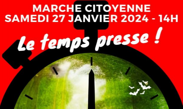 Petition : Sauvons les arbres d’alignement du Château de Vincennes.