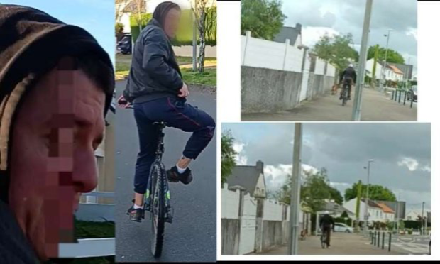 Petition : Stop aux chiens non tenus en laisse sur le domaine public !