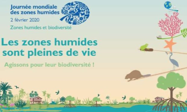 Petition : Absurdité de l'emplacement projeté pour un nouveau cimetière à Avanne-Aveney (25) !