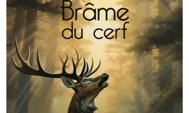 Petition : Pour l'abolition de la chasse à courre