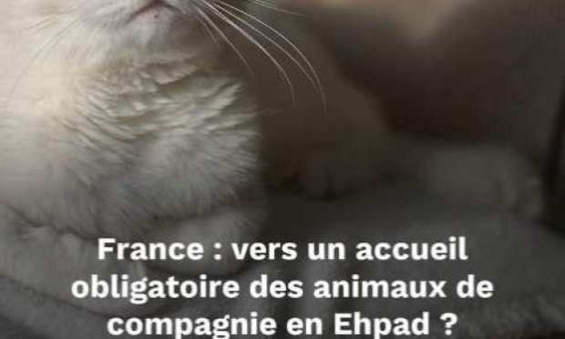 Petition : Pour une généralisation de la médiation animale dans les EHPAD