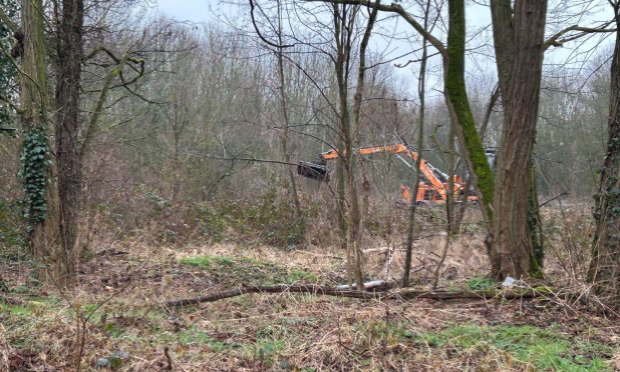 Petition : SAUVONS LE BOIS DE VINCENNES !