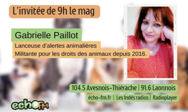 Petition : Module obligatoire de 