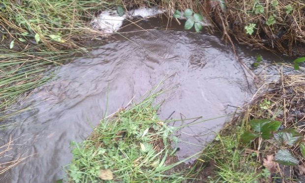 Petition : Décès de ma jument : stoppons la pollution à Noues de Sienne !