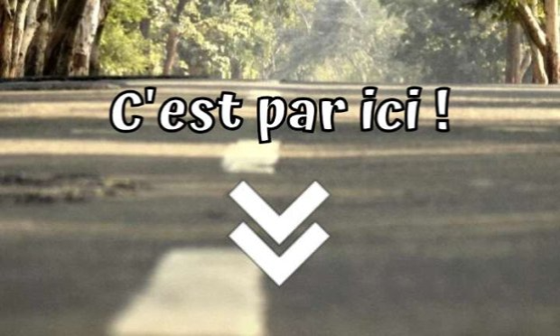 Petition : Halte au bitume et aux centrales d'enrobage à chaud !