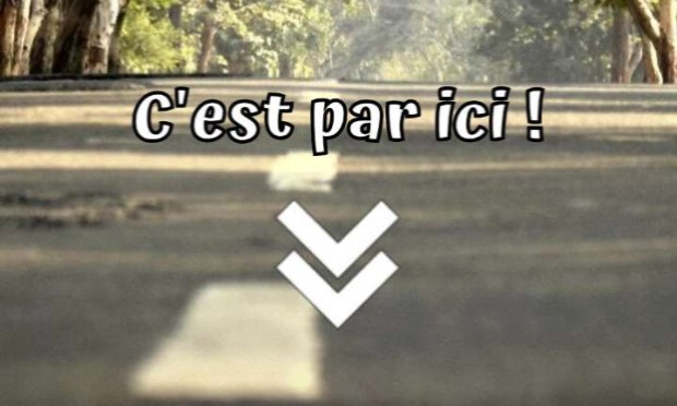 Petition : Pour la végétalisation de l'espace public (cours des écoles, rues piétonnes, parkings...) STOP AU BITUME