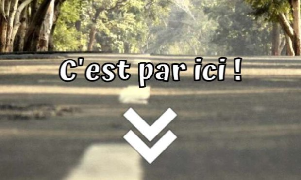 Petition : STOP AUX NOUVELLES ROUTES EN FRANCE