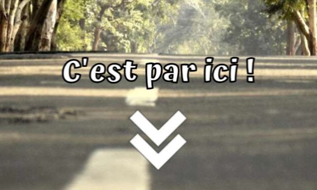 Petition : Pour la fin du bitume dans la fabrication des routes