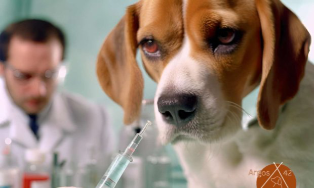 Petition : Stop à l'expérience animale pour la recherche scientifique !