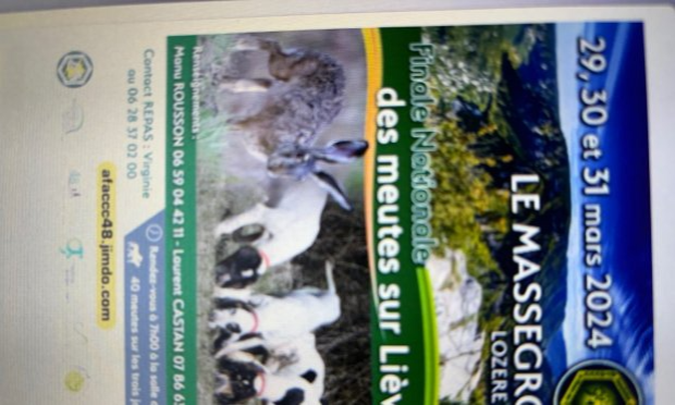 Petition : Honte à une manifestation de chasse !