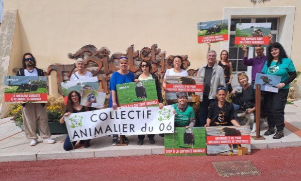 Petition : Biot (06) : stop aux spectacles de rapaces