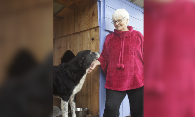 Petition : SOS : il faut sauver le sanctuaire animalier de Maddy !