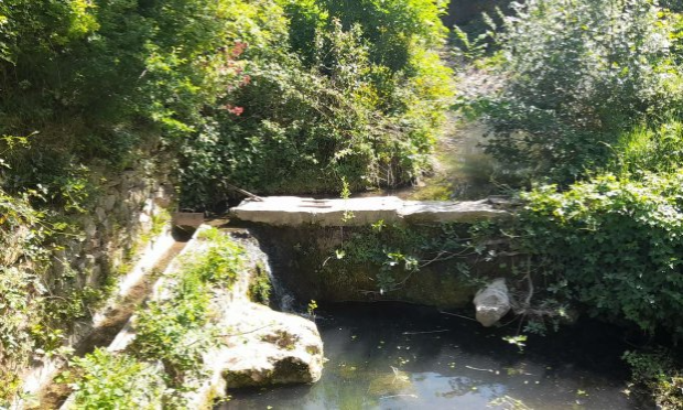 Petition : Durance, sujet de droit : soutien à la déclaration des droits de la rivière.