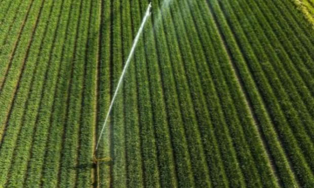 Petition : Pour une amélioration de la qualité de l'eau distribuée