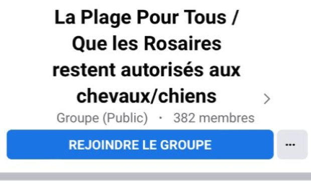Petition : Non à la restriction de l'accès des chiens aux plages de Plérin.
