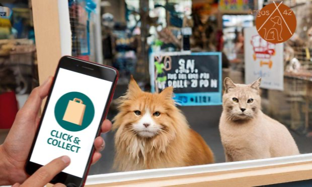 Petition : Stop au Click & Collect d'animaux en animalerie !