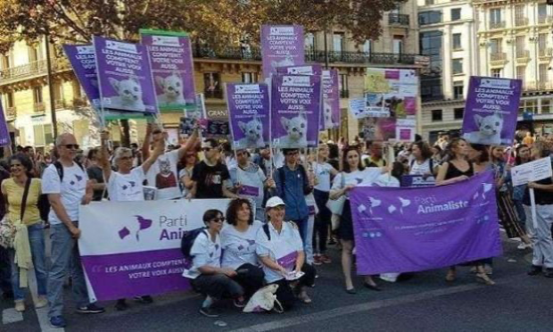 Petition : Exigeons que Perpignan n'accueille plus de cirques avec animaux !