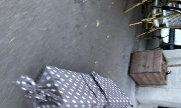 Petition : Pour la stérilisation des chats errants de la Croix-Rousse à Lyon !