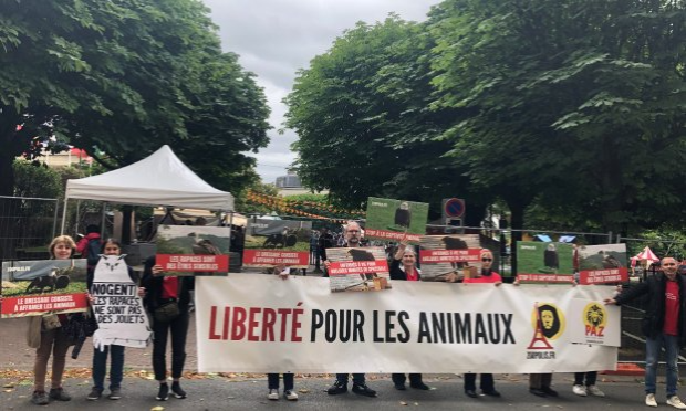 Petition : Nogent-sur-Marne : STOP aux spectacles de rapaces !