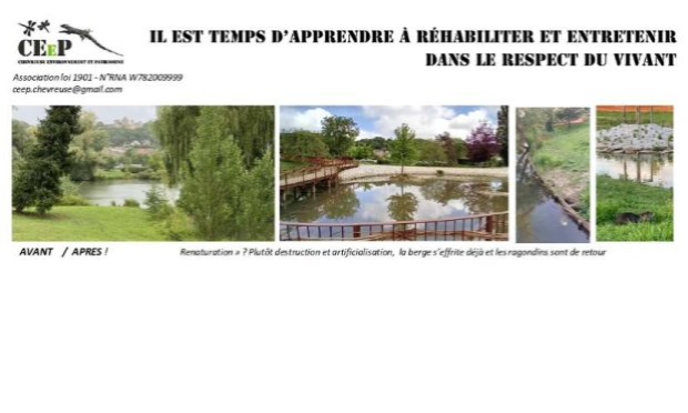 Petition : Non au projet d'aménagement de la mare aux canards à Chevreuse !