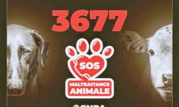 Petition : En marche vers une évolution radicale des droits des animaux en France