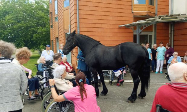 Petition : Pour une généralisation de la médiation animale dans les EHPAD
