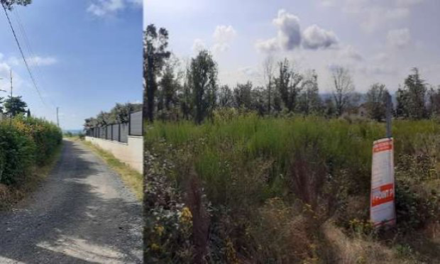 Petition : NON au projet d'un hôtel sur une ancienne forêt