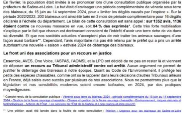 Petition : Urgence pour les blaireaux de Saône-et-Loire