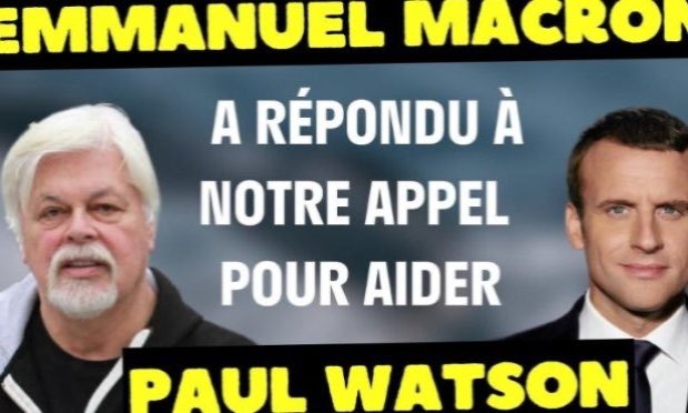 Petition : Emmanuel Macron must ask for the release of Paul Watson!