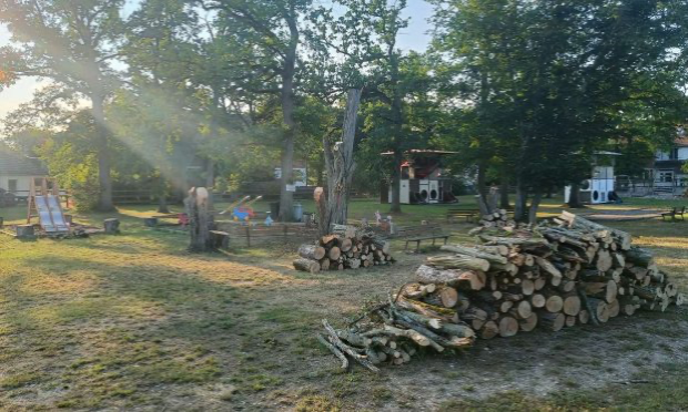Petition : Sauvons le Poney Parc de BLODELSHEIM
