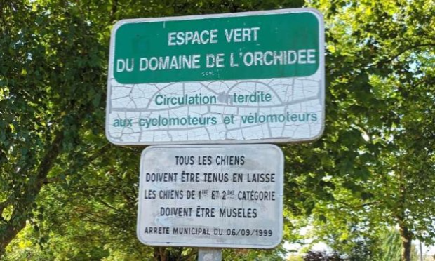 Petition : Stop aux chiens non tenus en laisse sur le domaine public !