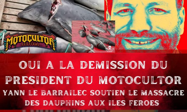 Petition : Festival Motocultor : le groupe de rock TYR est pour le massacre des dauphins, boycottons le !