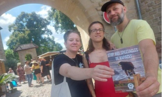 Petition : Fête médiévale du Schlossberg (Forbach) : STOP aux spectacles de rapaces !