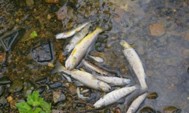 Petition : Pour une amélioration de la qualité de l'eau distribuée