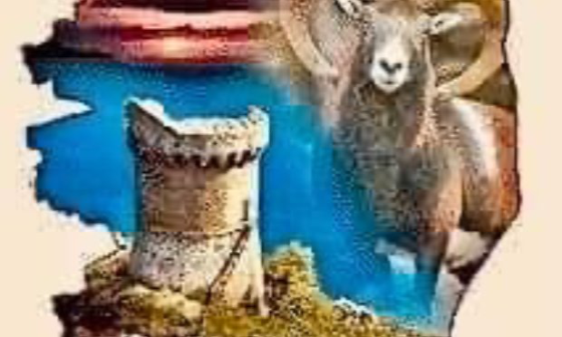 Petition : Non à la bétonisation de la Corse