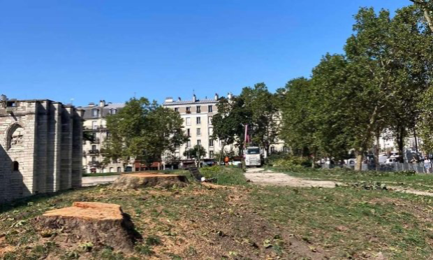 Petition : Sauvons les arbres d’alignement du Château de Vincennes.