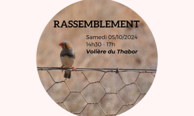 Petition : Fermons la volière du Thabor, pour un traitement éthique des animaux !