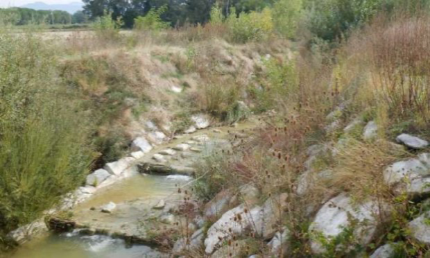 Petition : Halte à la destruction systématique de nos forêts alluviales