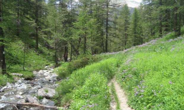 Petition : Durance, sujet de droit : soutien à la déclaration des droits de la rivière.