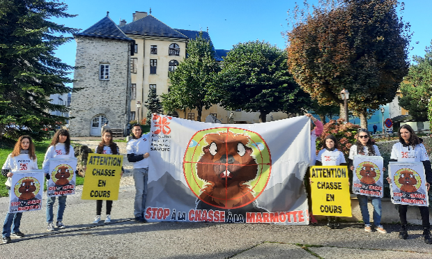 Petition : Exigeons l'interdiction de la chasse à la marmotte