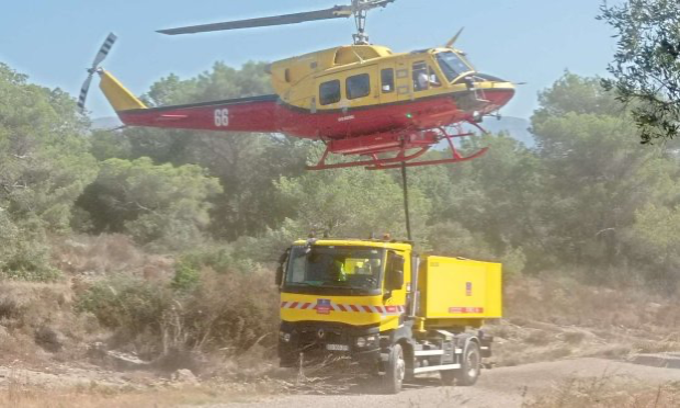 Petition : Sauvons nos forêts !