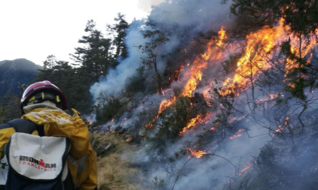 Petition : Sauvons nos forêts !