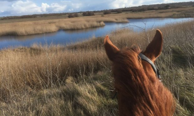 Petition : NON A L'EXTENSION DE LA RNN DU MARAIS D'YVES