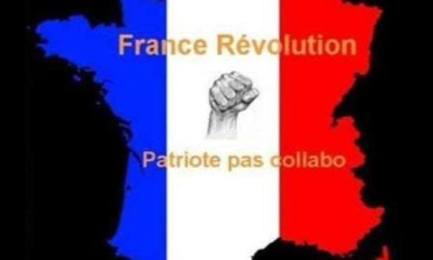 Petition : Référendum : Organisé par les Français eux-mêmes, dans quelle démocratie, le peuple aurait-il besoin de demander l’autorisation pour effectuer un référendum et exercer sa souveraineté légitime ?